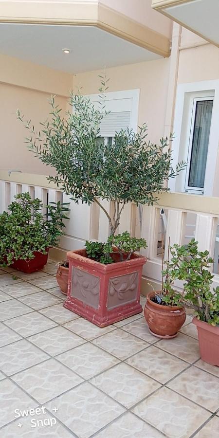 كاتو ذاراتسو Malou Apartments المظهر الخارجي الصورة